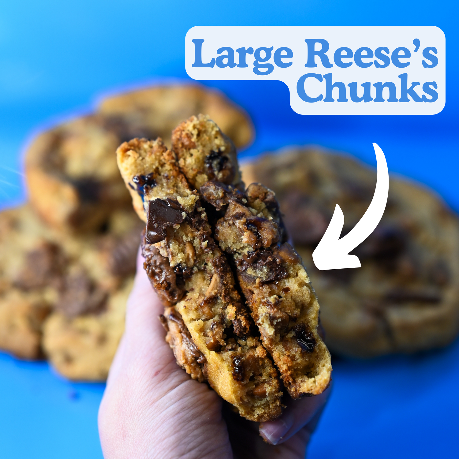 Delicious Chocolate Chunk.png__PID:406dc449-df62-486b-9926-ecf8543e33c6